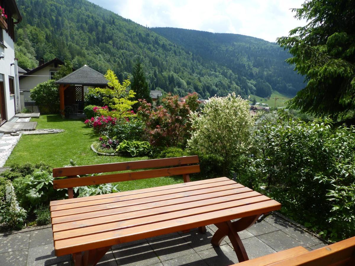 Апартаменты Haus Zur Eule Тодтнау Экстерьер фото